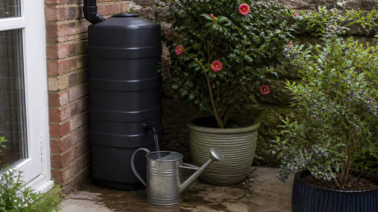 A compact water butt beside a small British patio, a watering can being filled from the tap, with a camellia and blueberry growing in nearby containers