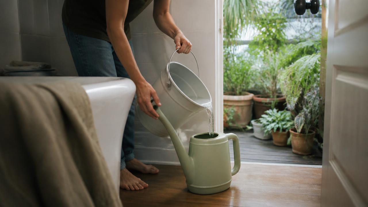 A plastic watering can being filled with bath water from a bucket beside a bathtub, with container plants visible through an open door